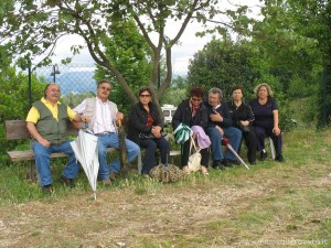 img_1294512347_431_lg