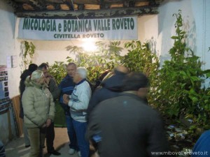 img_1294519201_508_lg
