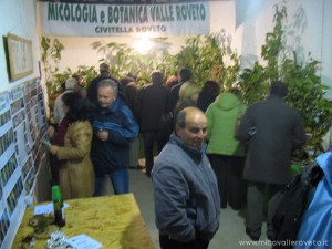 img_1294519231_528_lg