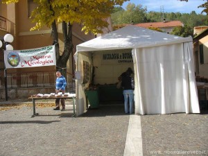 img_1294519599_49_lg