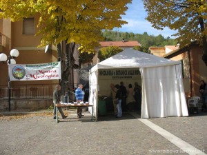 img_1294519638_888_lg