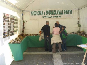 img_1294519665_896_lg