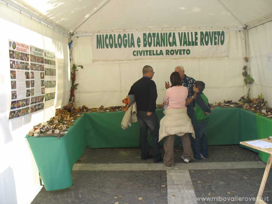 Mostra di Canistro Inf. (Aq) 2007