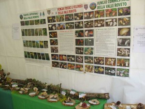 img_1294519698_895_lg