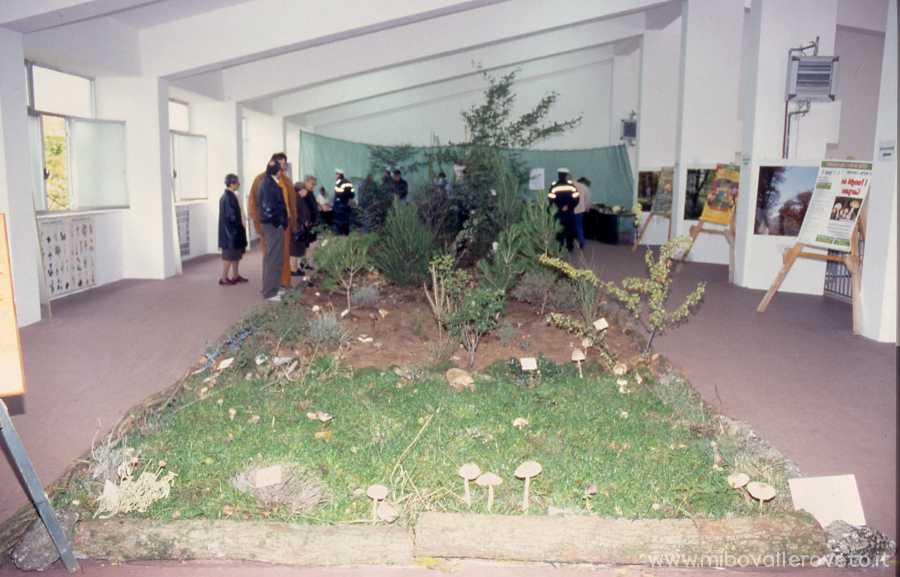 Vico del Gargano (Fg) 2003