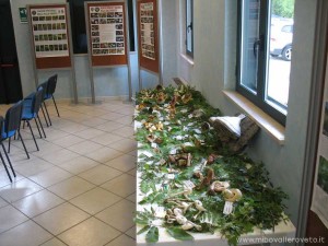 img_1295218845_431_lg