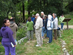 img_1295219567_350_lg
