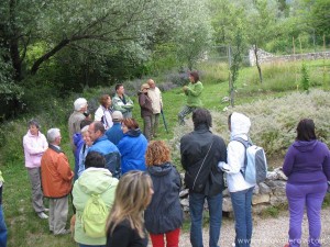 img_1295220204_115_lg