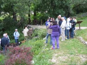 img_1295220278_647_lg