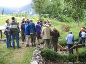 img_1295220346_168_lg