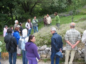 img_1295220480_583_lg