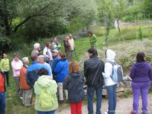 img_1295220548_428_lg
