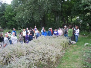 img_1295220693_288_lg