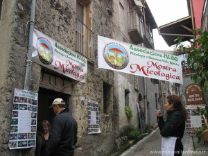 img_1298301989_181_lg