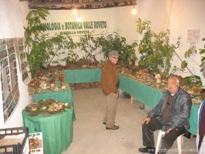 img_1298303677_484_lg