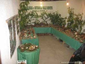 img_1298303766_718_lg