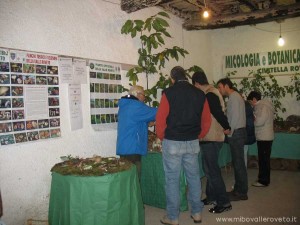img_1298303885_547_lg