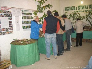 img_1298303980_243_lg