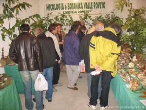 img_1298304107_147_lg