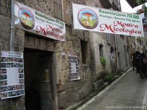img_1298304205_853_lg