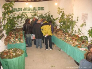 img_1298304305_279_lg
