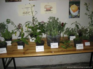 img_1305627911_3_lg