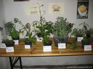 img_1305627985_665_lg