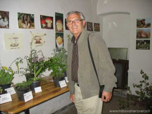 img_1305628299_397_lg
