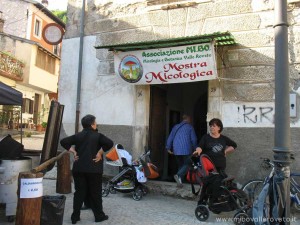 img_1305628583_365_lg