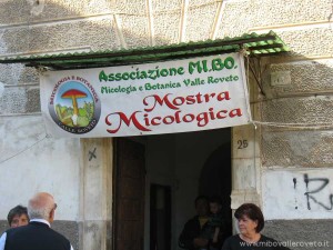 img_1305628716_211_lg