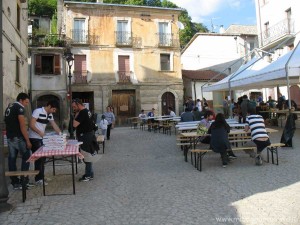 img_1305628807_495_lg