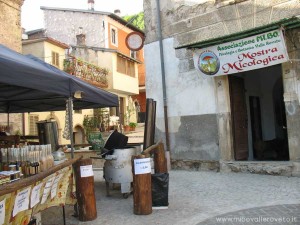 img_1305629209_97_lg