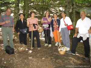 img_1311068243_887_lg