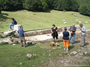 img_1311588921_110_lg