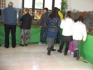 img_1319705308_63_lg