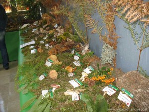 img_1319705481_425_lg
