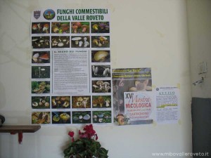img_1319705554_608_lg