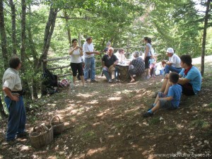 img_1346483698_171_lg