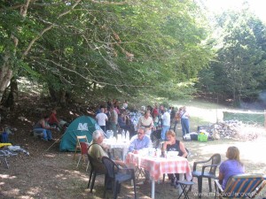 img_1346487355_985_lg