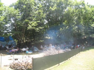 img_1346488132_945_lg
