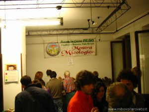 img_1352906705_248_lg