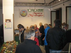 img_1352906769_698_lg