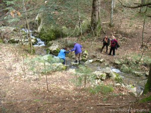 img_1366363969_638_lg
