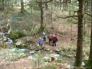 img_1366364027_39_lg