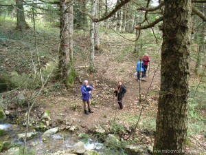 img_1366364059_965_lg