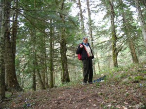img_1366364122_881_lg
