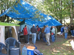 img_1373383786_262_lg