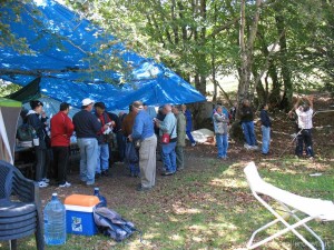 img_1373383828_672_lg