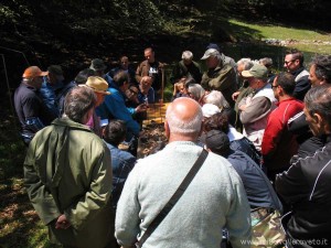 img_1373383894_789_lg