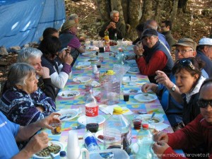 img_1373384114_551_lg